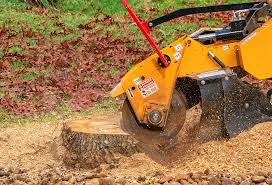 Best Lawn Grading and Leveling  in Crescent City, CA